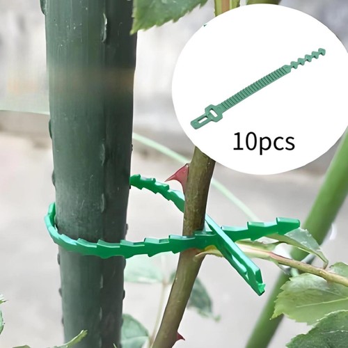 10x garden plant - 10x,