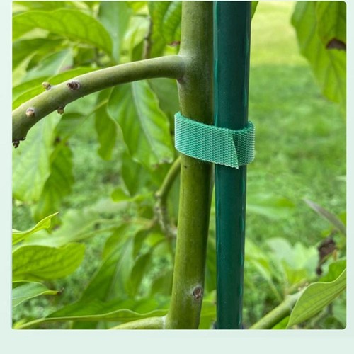 Reusable green garden - 5/10,