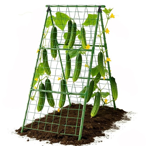Cucumber trellis garden - cucumber,