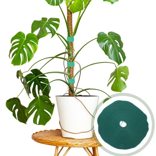 Climbing plants fixing tie - fixing,