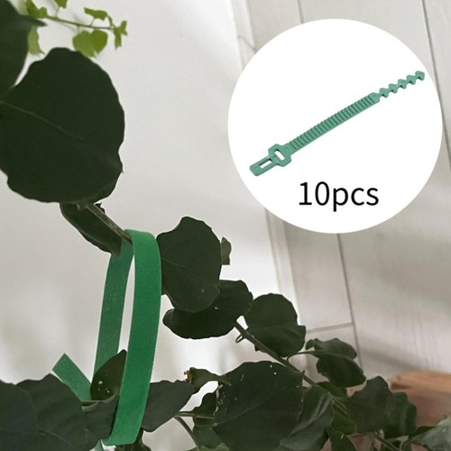 10x plant ties tree - 10x,