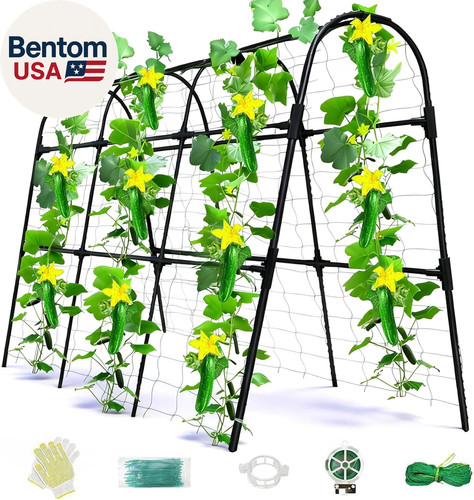 Cucumber trellis for raised - trellis,