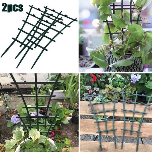Plant support climbing - plant,