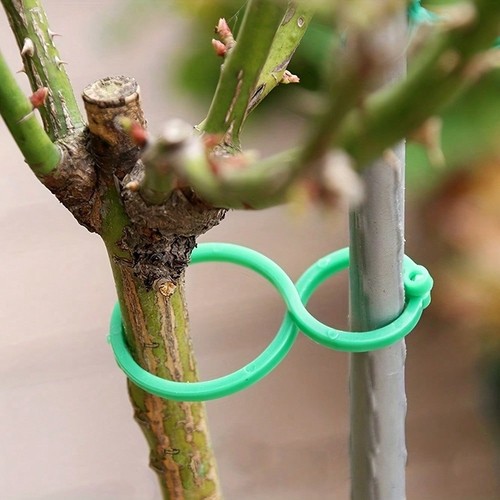 100pcs garden plant support - 100pcs,
