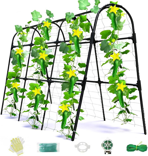 Cucumber trellis for raised - trellis,