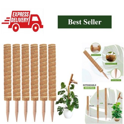 Moss pole plant support - moss,