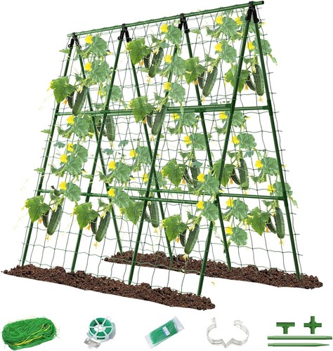 Cucumber trellis metal support - cucumber,