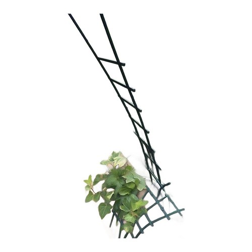 Practical climbing trellis - climbing,
