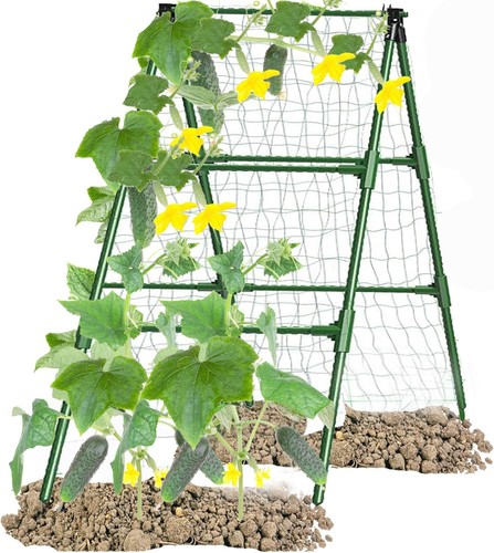 Cucumber trellis garden - cucumber,