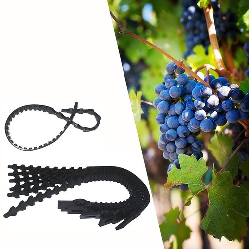 Pcs plant ties - 10, stake