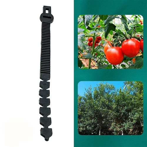 Plant support ties - plant,