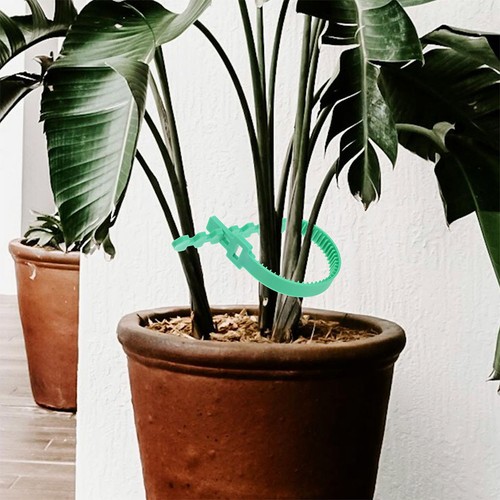 12pcs reusable plant - 12pcs,